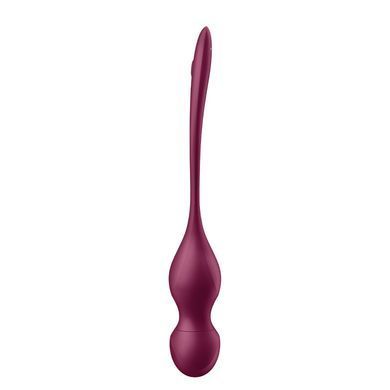Смарт-вагінальні кульки з вібрацією Satisfyer Love Birds Vary Connect App, змінювана маса, пульт ДК