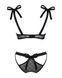 Напівпрозорий еротичний комплект Obsessive Obsessivia 2-pcs set black S/M, бюстгальтер та трусики