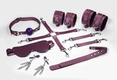 Набір Feral Feelings BDSM Kit 7 Burgundy, наручники, поножі, конектор, маска, падл, кляп, затискачі