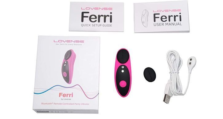 Смарт-вібратор в трусики Lovense Ferri