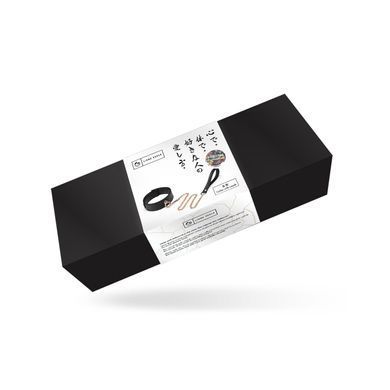 Нашийник з повідцем Liebe Seele Black Organosilicon Collar with Leash, екошкіра