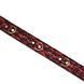 Нашийник з повідцем Liebe Seele Victorian Garden Collar with Leash